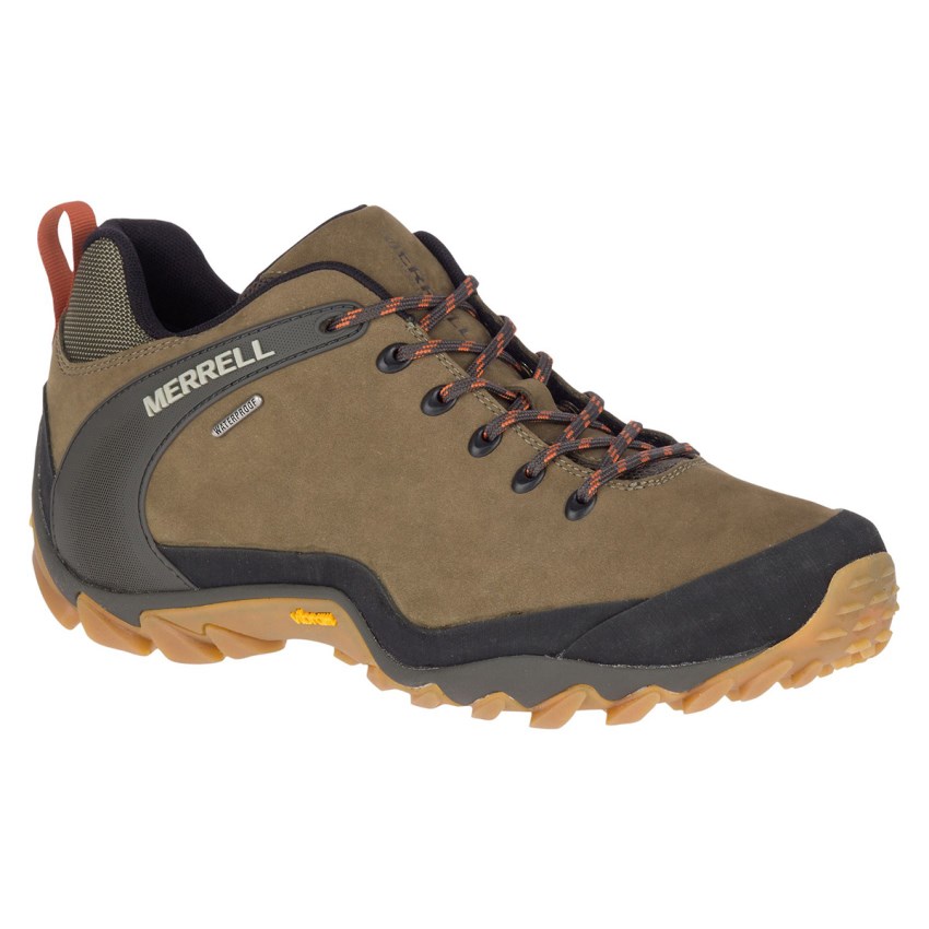 Chaussures Randonnée Merrell Chameleon 8 Stretch Waterproof Vert Foncé Olive Homme | B.C.SWVC